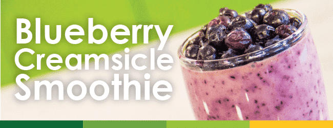 Blueberry Creamsicle Smoothie Recipe Nature's Emporium