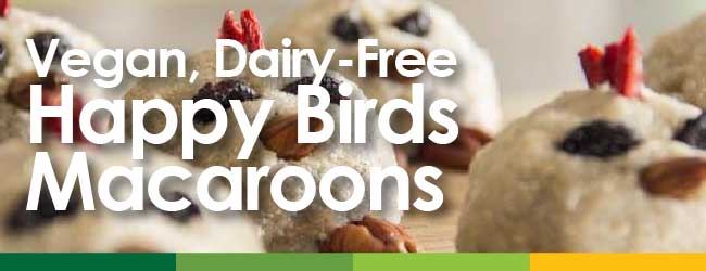 vegan-happy-bird-macaroons-natures-emporium